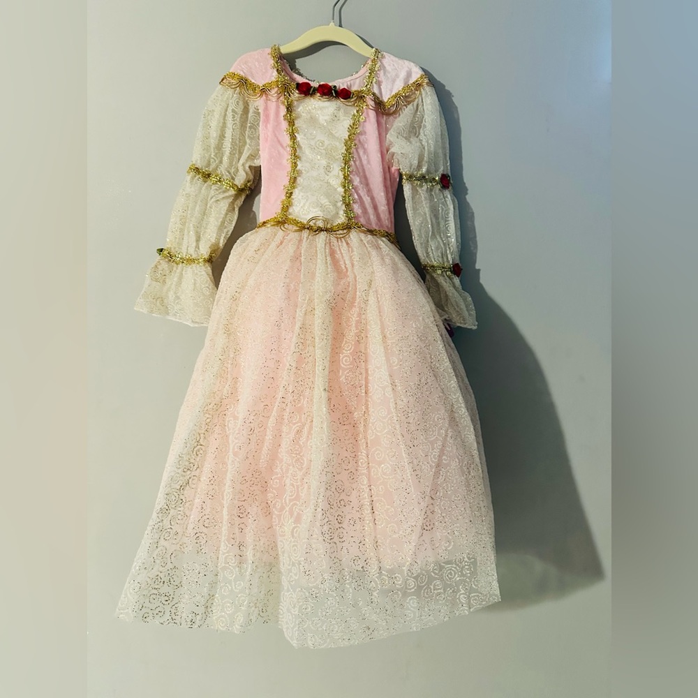 Girls Pink Princess Costume Dress with Gold Trim, Red Floral - Picture 2 of 9